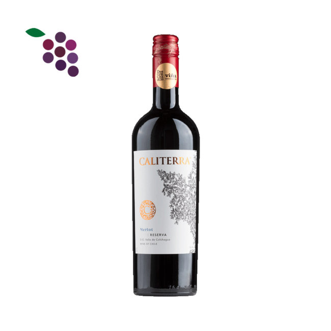 Caliterra Reserva Merlot