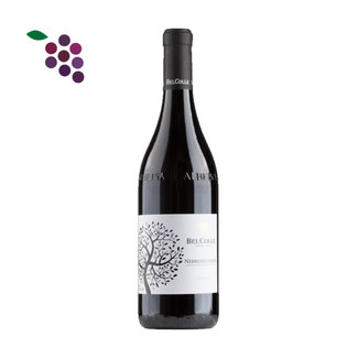 Bel Colle Nebbiolo D'Alba La Reala 2023