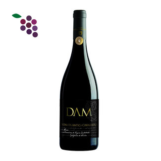 Dam Etna Rosso 2018