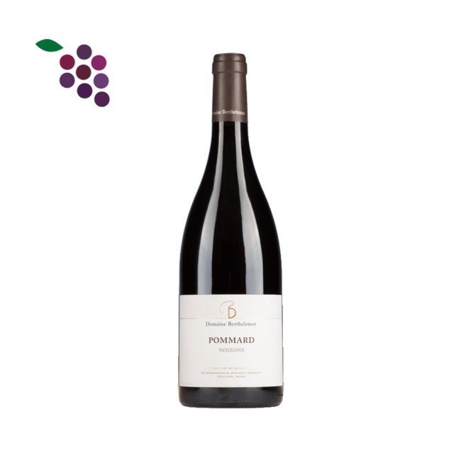 Domaine Berthelemot Pommard Noizons Rouge 2020