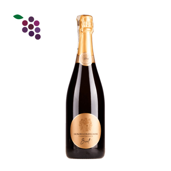 Franciacorta Brut Monzio Compagnoni 2021