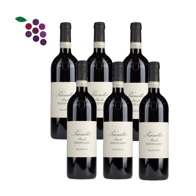 Prunotto Barolo Bussia 2019