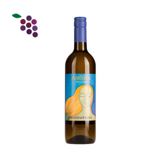 Donnafugata Anthilia 2025