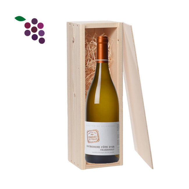 Wijngeschenk - Domaine Terres des Velle Cote d'Or Chardonnay 2020