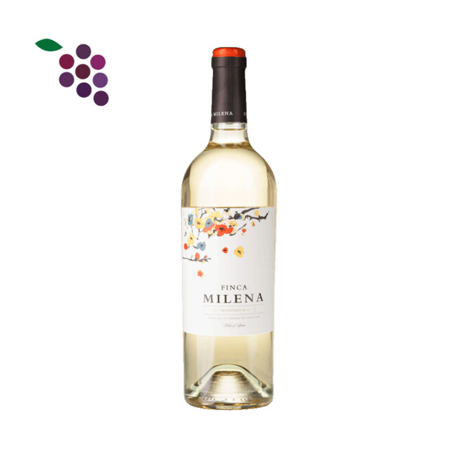 Finca Milena Viura Sauvignon Blanc 2024