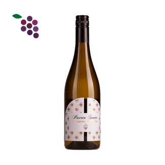 Puerta Santa Ribeiro Treixadura Torrontes 2024