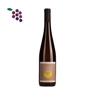 Sophie Schaal Alsace Pinot Gris 2024