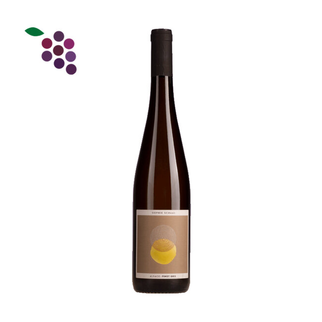 Sophie Schaal Alsace Pinot Gris 2024