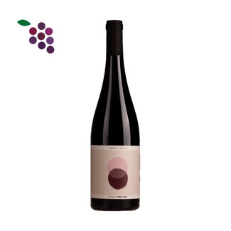 Sophie Schaal Alsace Pinot Noir 2023