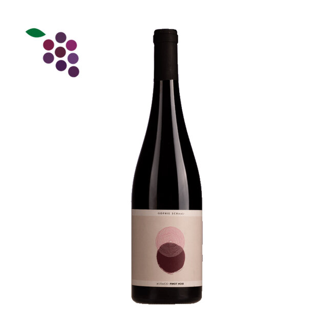 Sophie Schaal Alsace Pinot Noir