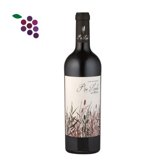 Rio Lindo Syrah