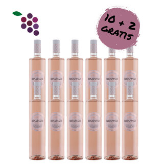 Rosapasso Pinot Nero Rosé 2024 12x75cl