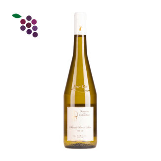 Domaine du Colombier Muscadet sur Lie 2025