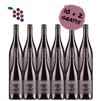 Today's Special Appassimento 2022 12x75cl
