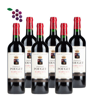 Château Pouget Margaux Grand Cru Classé 2019