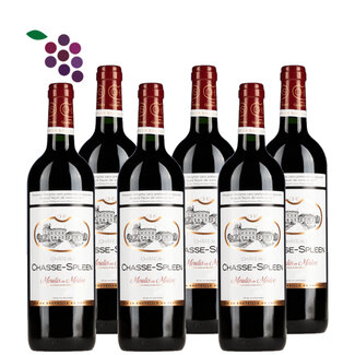 Château Chasse Spleen 2018