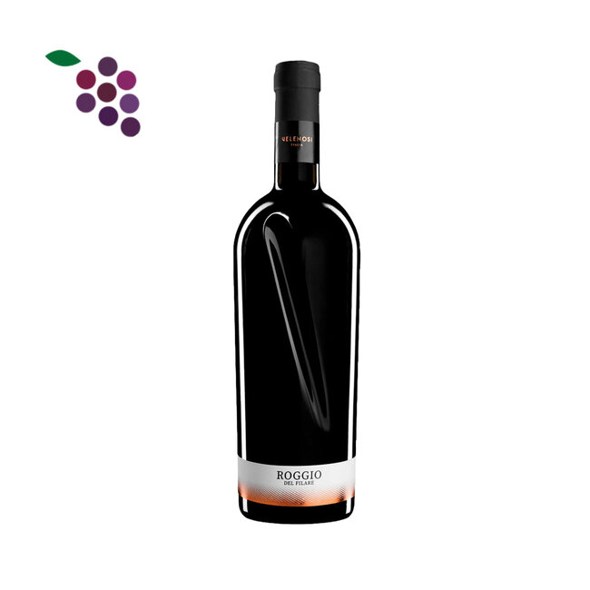 Roggio Del Filare Rosso Piceno Superiore DOC 2020