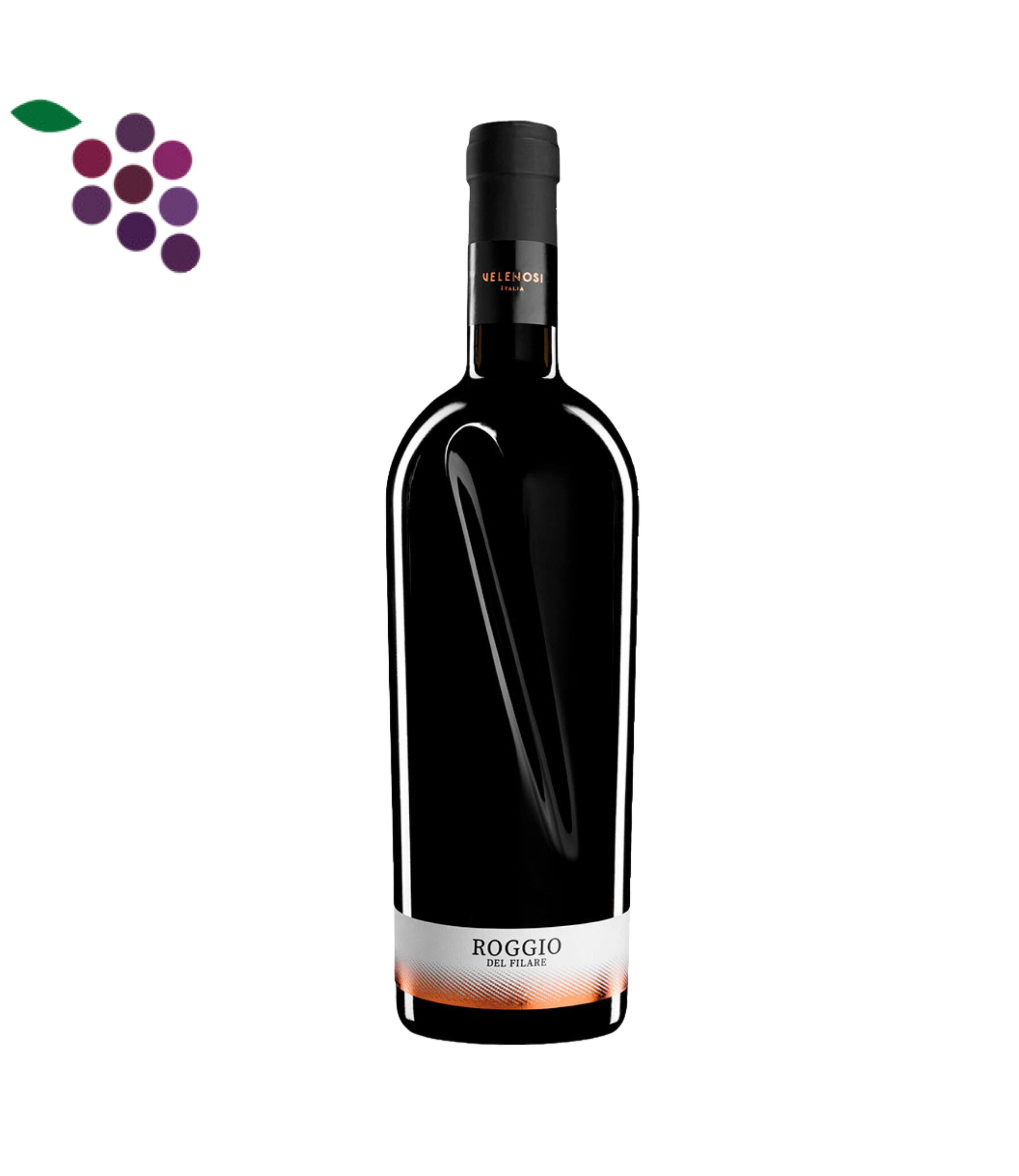 ワイン Roggio del Filare 2018 Rosso Piceno Roggio Del Filare Rosso Piceno Superiore DOC 2019 - Topwijn uit