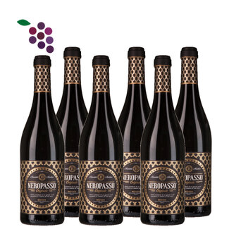 Biscardo Neropasso Rosso 2021 6x75cl