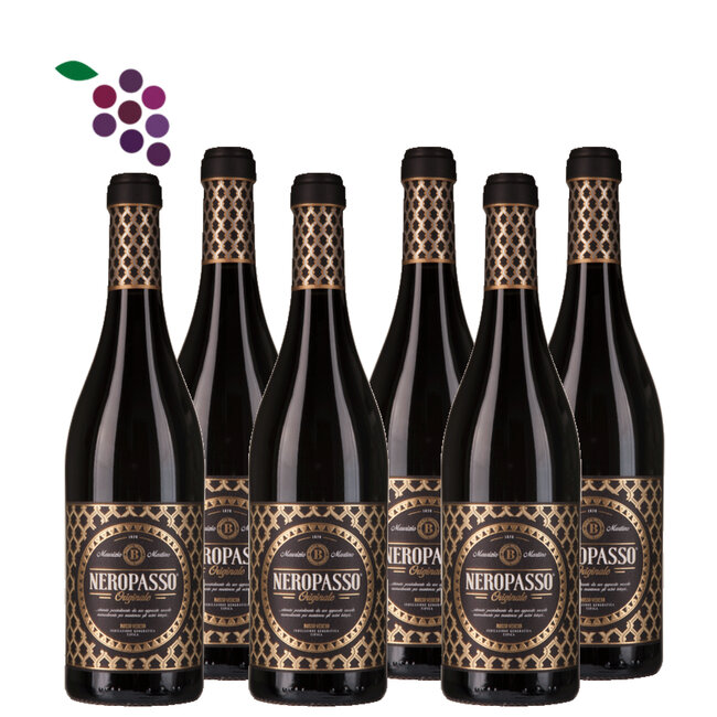 Biscardo Neropasso Rosso 2022 6x75cl