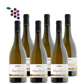 Poujol Lacoste Viognier 2024 6x75cl
