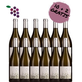 Rio Lindo Viura / Chardonnay 2024 12x75cl