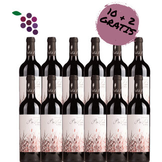 Rio Lindo Syrah 2023 12x75cl
