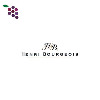 Henri Bourgeois