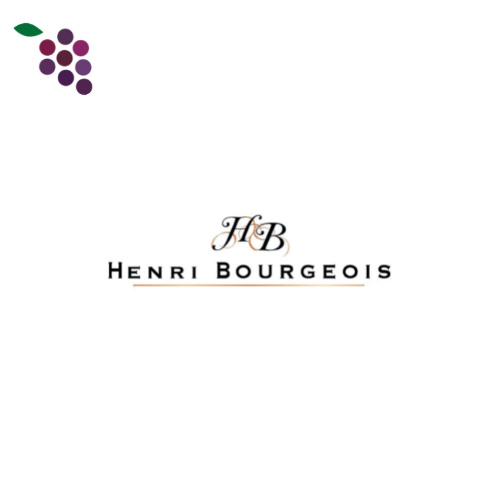 Henri Bourgeois