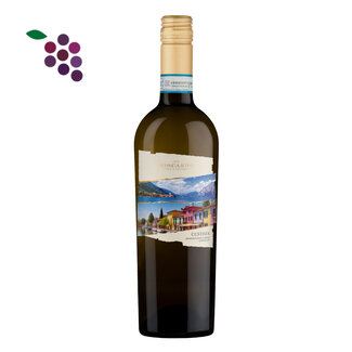 Biscardo Bianco di Custoza 2025