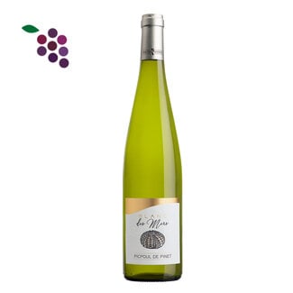 Bruno Andreu Picpoul de Pinet 2024