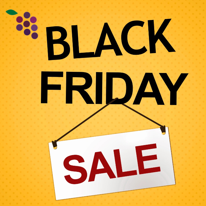 BLACK FRIDAY 2025