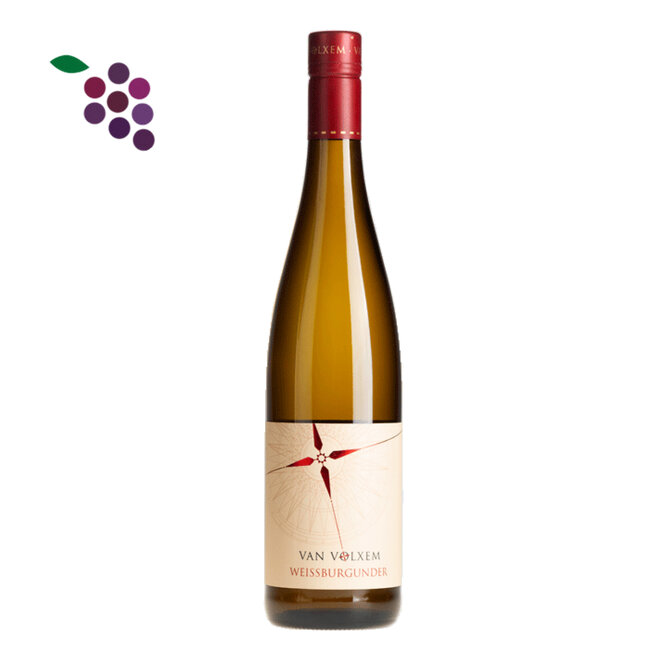 Van Volxem Weissburgunder 2023