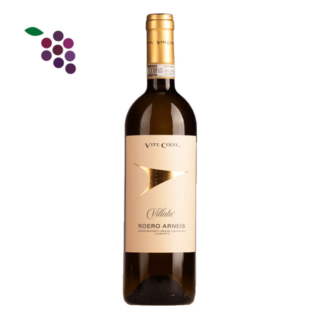 Vite Colte Roero Arneis Villata 2024