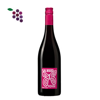 Domaine du Salvard Pinot Noir 2024