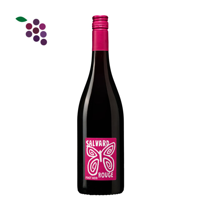 Domaine du Salvard Pinot Noir 2024