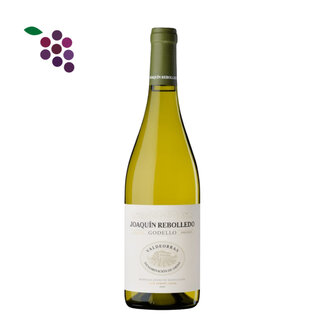 Joaquin Rebolledo Godello Valdeorras 2024