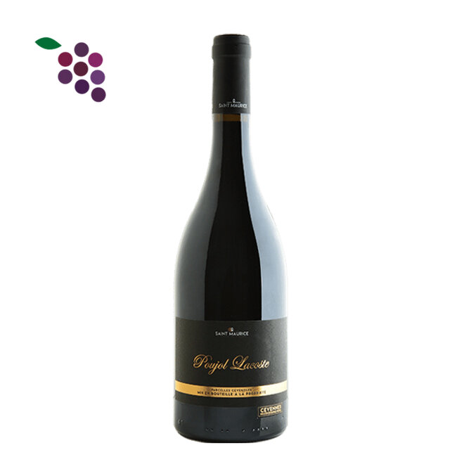 Cave St Maurice Poujol Lacoste Rouge 2022