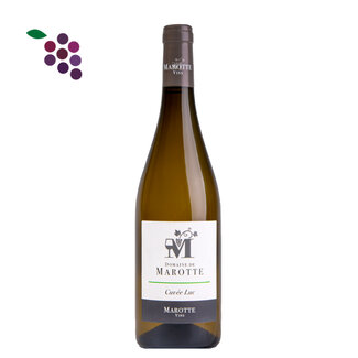 Domaine de Marotte Cuvee Luc Blanc 2024