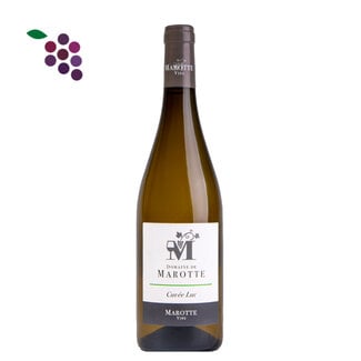 Domaine de Marotte Cuvee Luc Blanc 2025