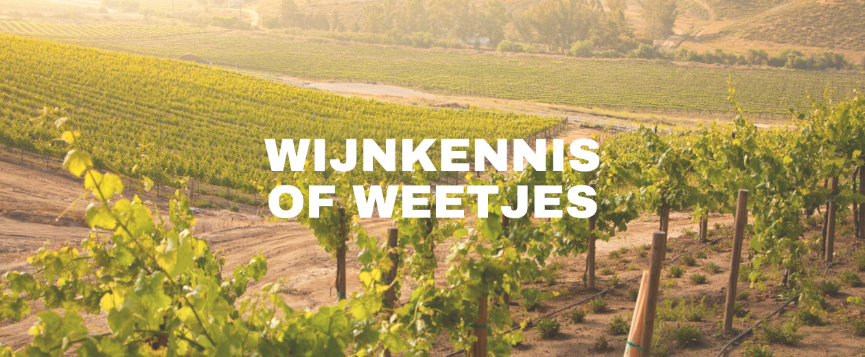Alles over de Chardonnay-druif
