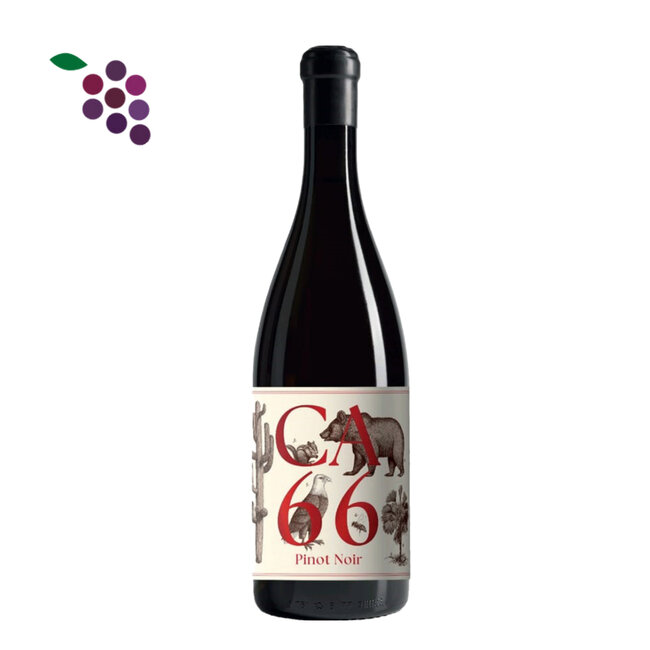 Weingut Hannes Sabathi CA 66 Pinot Noir 2023