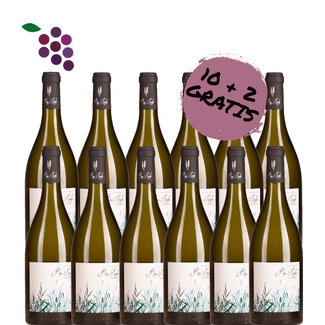 Rio Lindo Verdejo Oak Aged 2024 12x75cl