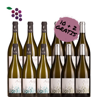 Rio Lindo Chardonnay 2024 & Verdejo 2025