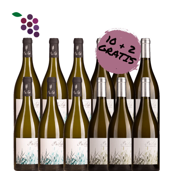 Rio Lindo Chardonnay 2024 & Verdejo 2024