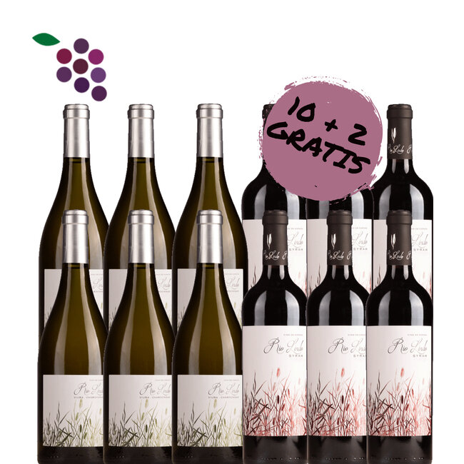 Rio Lindo Chardonnay 2024 & Syrah 2023 12x75cl