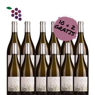 Rio Lindo Viura / Chardonnay 2024 - 10+2 Gratis
