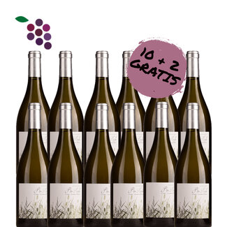 Rio Lindo Viura / Chardonnay 2024 12x75cl