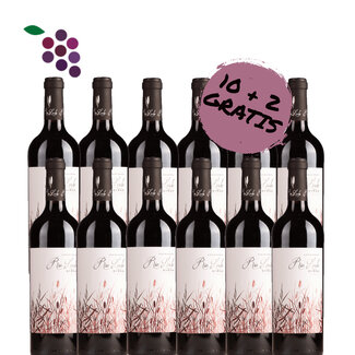 Rio Lindo Syrah 2024 12x75cl