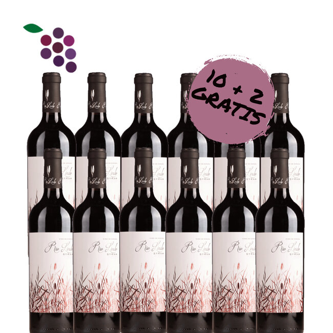 Rio Lindo Syrah 2023 12x75cl